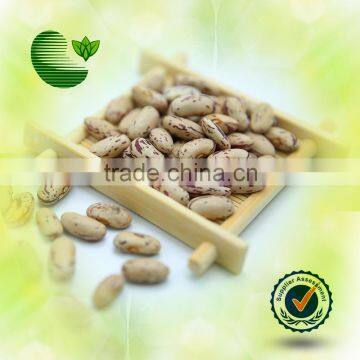 Light Speckled Kidney Beans (Long Shape)