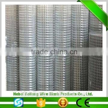 Novelty items for sell 5x5cm welded wire mesh panel