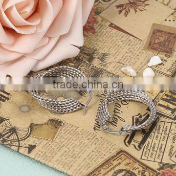 Special Shape Classical Style High Imitation Silver Stainless Steel Hoop Earrings for Women photo-4