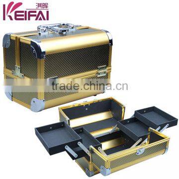 ABS Panel Combination Lock Professional Beauty Cosmetic Case