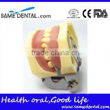 Dental Eduction Assitant No. DEA-06