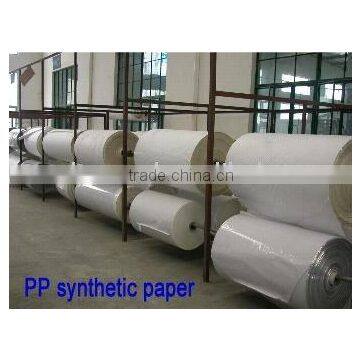 pp paper for dye/pigment/eco-solvent ink