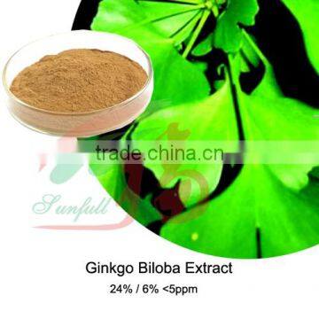 pure Ginkgo biloba leaf extract