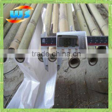 Bamboo cane for support plants 8' X26/28mm