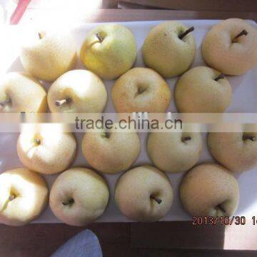 Golden Pear