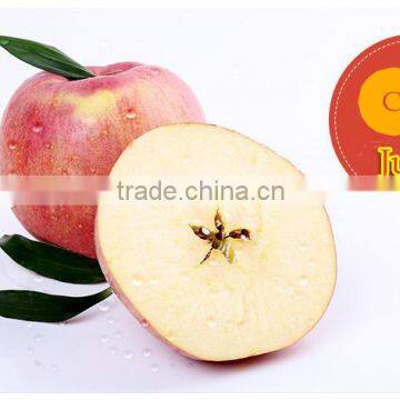 New 2016 Professional Delicious High Quality Fresh Red Hanfu Apple photo-4