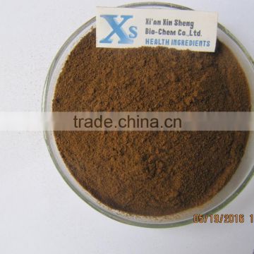 GMP Kosher Natural Cocoa Extract Powder Theobromine