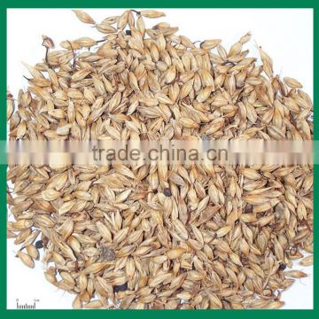 high quality barley malt extract powder in China with low price