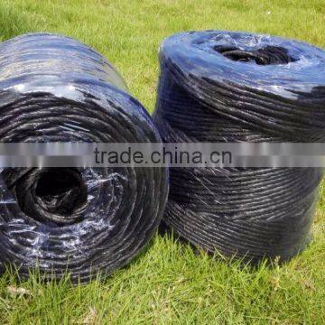 Professional pp Black Rope