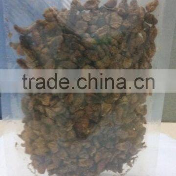 Dried Silkworm Pupa Pet/fish/bird Food photo-2