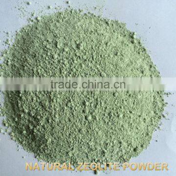 BULK Zeolite ULTRA FINE Natural Organic Mineral Powder Dust CLINOPTILOLITE