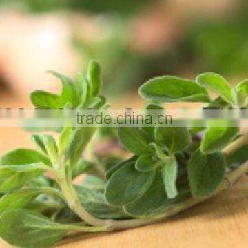 100% PURE SWEET MARJORAM OIL