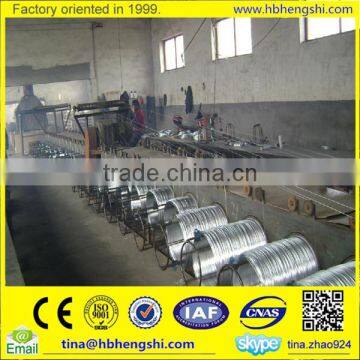 Reasonable Price Galvanized Steel Wire / Electro Galvanized Iron Wire photo-4