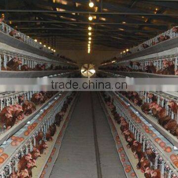 Factory Chicken Layer Cages of H type for Farm with 3layer,4layer,5layer (Hot galvanized/Electric galvanized)