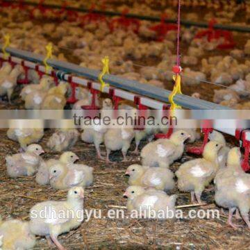 Poultry Farm Equipment For Chicken Feeder photo-4