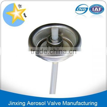 Body deodorant aerosol valve with actuator