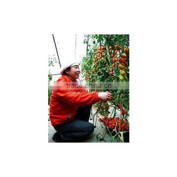 professional electric vegetable pollination tool