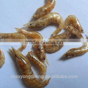 2mm Air-dry Shrims For Fish Food ; Red Dried Shrimps