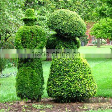 2017 Hot Sale Manufacturer Artificial Grass Cutter Animal Topiary photo-2