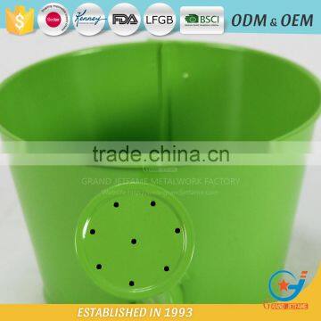 Iron Powder Coating Water Plant for Flowers Floral Watering Can photo-4