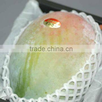 EPE Plastic Safe Biodegradable Fruit Foam Netting photo-6