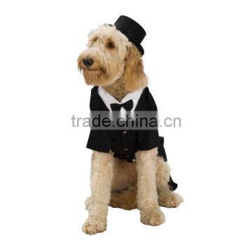 Dapper Dog Costume