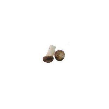 New Harvest Delicious Fresh Frozen Foods / IQF Frozen Mushroom
