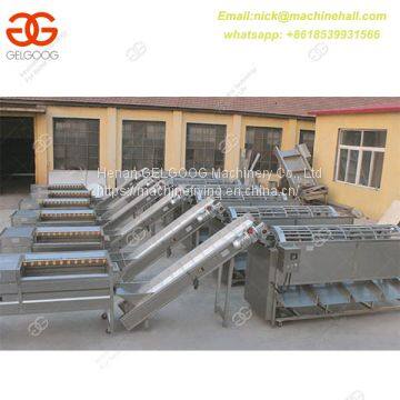 Onion Sorting Machine|Onion Grading Machine for Sale|Professional Onion Picking Machine photo-4