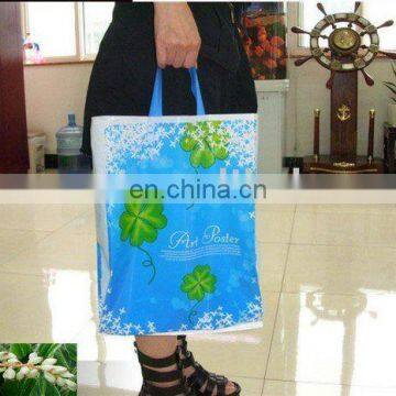 2013 beautiful plastic bag