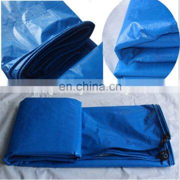 Customized High Quality Colored PE Plastic Tarpaulin Sheeting