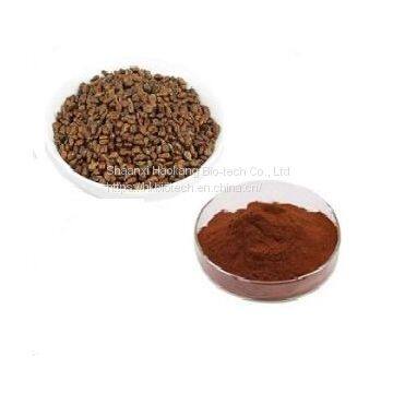 Grape Seed Extract Powder