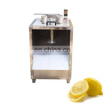 Pineapple Slicer Processing Machine Pineapple Cutter photo-2