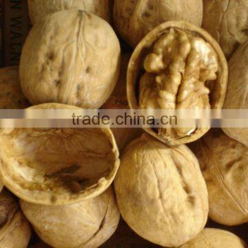 walnuts whole with shell