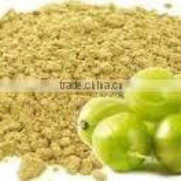 High quality Bhoomi Amla powder for export