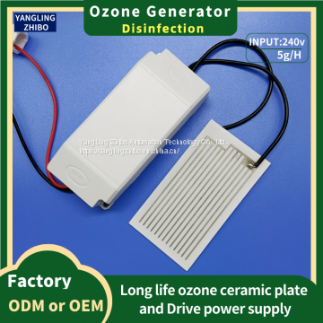 110V/240V Ozone Disinfection 5g Domestic or Commercial Air Purification Machine Ozone Ceramic Plate Small Ozone Generator photo-5