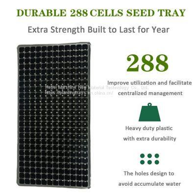 288 Holes Seed Trays Plastic Seedling Trays Wholesale 288 Cell Plug Tray Vegetable Seedling Trays