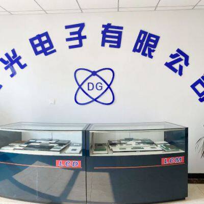 Dianguang Electronics Co., Ltd. company overview - view 1