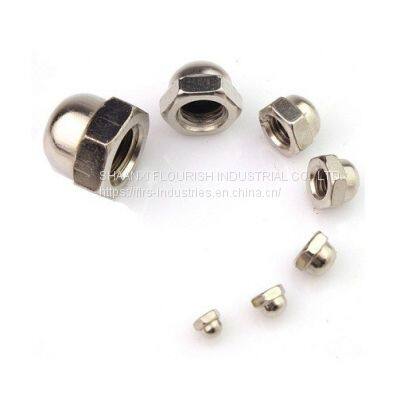 Galvanized Hexagon Lock Nut , Stainless Steel / Carbon Steel Domed Cap Nut photo-2