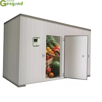 Shanghai Customizable Best Price Quick Freezer Tunnel (frozen Cold Room).pu Panel Cold Room