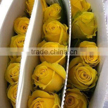 Top quality most popular gold plated gift rose