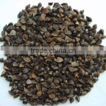 Conventional Buckwheat with good price