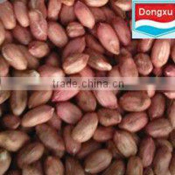 red skin peanut kernels