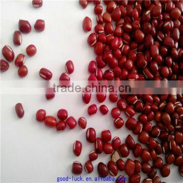 new crop azuki beans(heilongjiang)