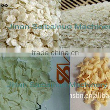 Rice Flakes Making Machine