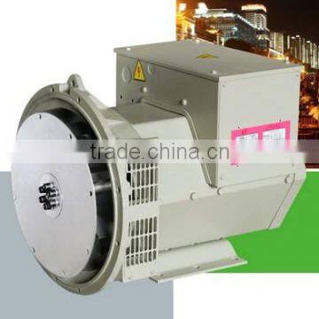 Brushless Generator Three-phase Synchronous TFW