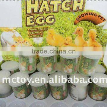 Hatching poultry egg Growing toys