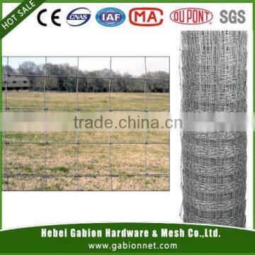 Electro Galvanized Cattle Fence(Factory )