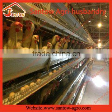 Practical Promotional Poultry Vaccination Equipment