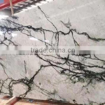 Elegant wall decorative natural clivia marble