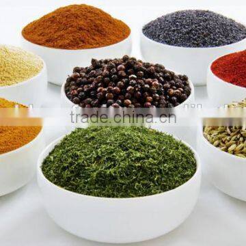 dehydrated spices powder single spice & condiments wholesale